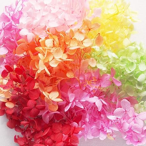 Amazon アジサイ ヘッド プリザーブドフラワー約10ｇ 6色アソートピンク A 小分け レジン パーツ クラフト あじさい ハーバリウム用 花 観葉植物 フラワーギフト オンライン通販