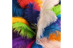 XKTEI 10Pcs Bulk Natural Colorful Ostrich Feathers,12-14 inch (30-35cm) Beautiful Long Feather for Crafts,Wedding Centerpieces Party Home Decoration,Dress and Christmas DIY (Colorful, 12-14in)