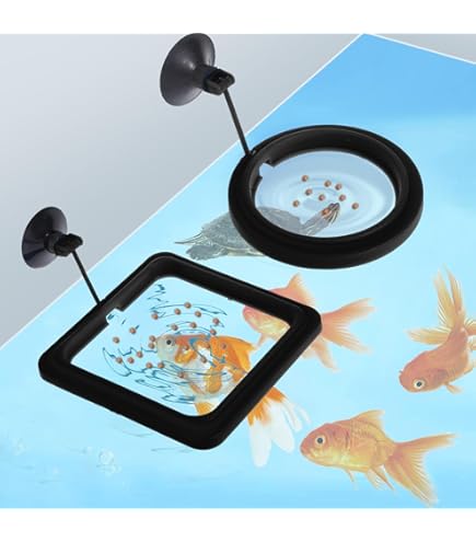 Fish Feeding Rings for Surface Feeders: Ultimate Guide to Success