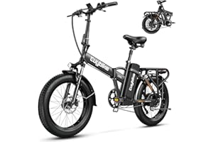 bluebiko 1000W Folding Electric Bike, 48V 20AH Large Removable Battery E Bike, 30+MPH, 80 Miles Max Range, 20" Fat Tire Electric Bike for Adults, Adult Electric Bicycles for Commute Beach Snow