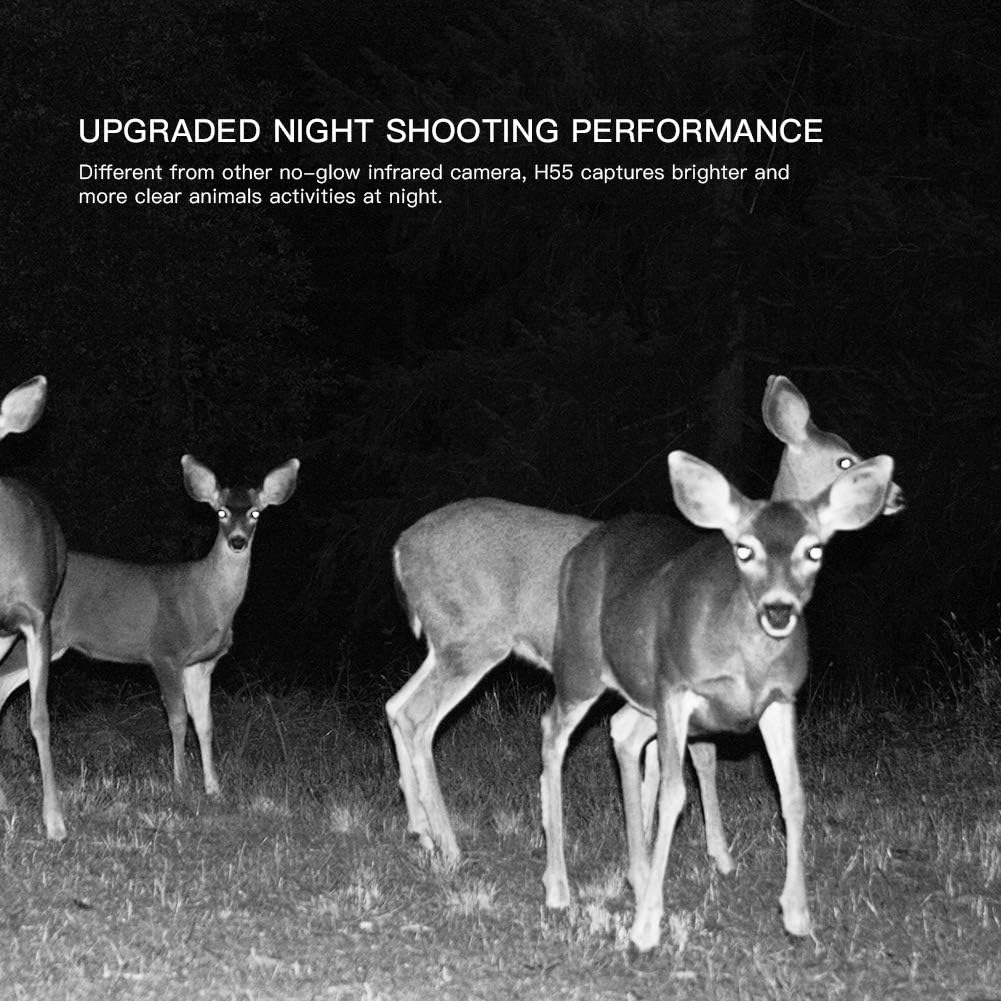 APEMAN Trail Camera 20MP 1080P Wildlife Camera, Night Detection Game Camera with No Glow 940nm IR LEDs, Time Lapse, Timer, IP66 Waterproof Design: Camera & Photo