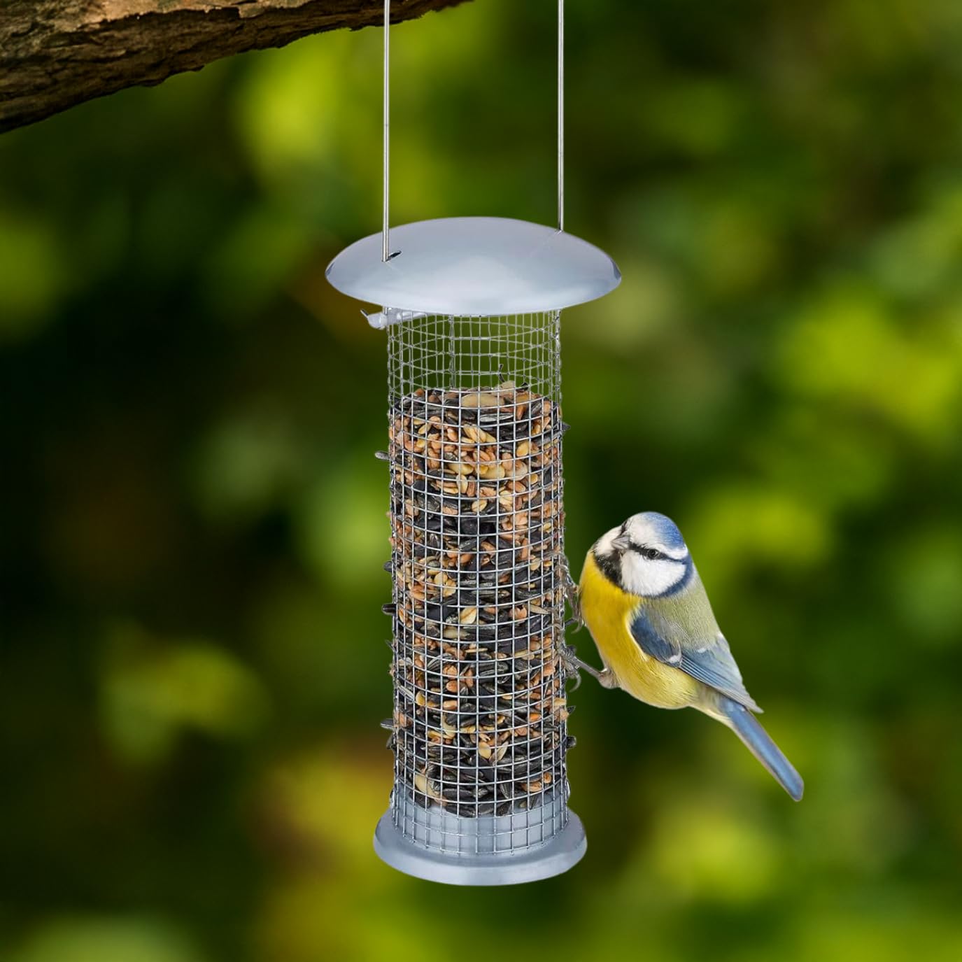 Garden Mile Fat Ball Bird Feeder – Squirrel Resistant Hanging Suet & Fatball Holder for Small Birds | Heavy Duty Metal Wild Bird Feeder for Garden, Patio & Balcony (31cm)