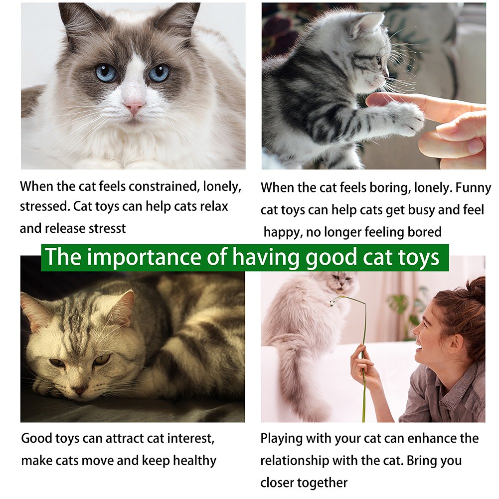 Cat Toys Variety Pack for Kitten, 23Pcs, Cat Teaser Wand,Interactive Feather Toy,Catnip Fish,Catnip Matatabi Chew Sticks,Cat Toys Interactive LED Light,Fluffy Mouse,Crinkle Balls Bells,Scratching Toys