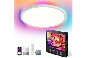 VocgoUU 16 Inch Smart Ceiling Light RGB Work with Alexa, Remote Control, WiFi and Tuya App - Color Changing Low Profile Dimmable LED Flush Mount Light Fixture for Bedroom, Living Room, White