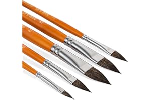 Falling in Art Cats Tongue Watercolor Brushes, 5 Pcs Oval Wash Paint Brushes, Cat Tongue Paint Brush for Petals, Leaves, Wate