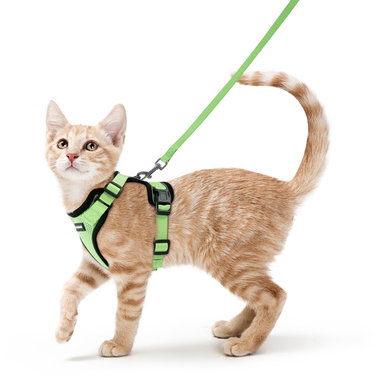 Photo 1 of rabbitgoo Cat Harness and Leash for Walking, Escape Proof Soft Adjustable Vest Harnesses for Cats, Easy Control Breathable Reflective Strips Jacket, Light Green, XS