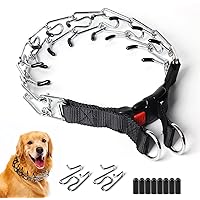 securiplex dog equipment