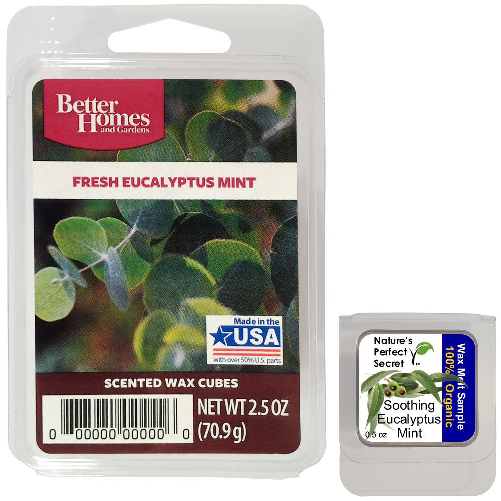 Better Homes Garden Wax Cubes Eucalyptus - Melting Pot Wax Melts - Eucalyptus Leaves and Spearmint - Includes Bonus Organic Wax Melt Sampler - Scented Wax Cubes - Fresh Eucalyptus Mint Wax Cubes Clamshell - Australian Native Medicine Eucalyptus Tree