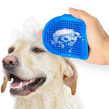 bath and brush pet grooming