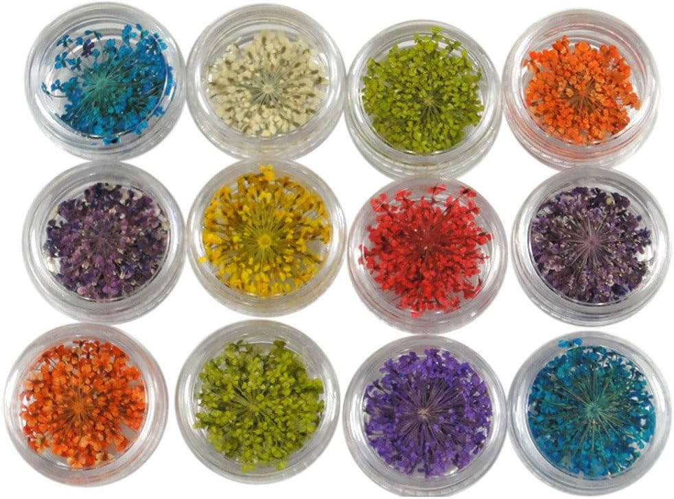 HCFKJ 12 Colors 3D Decoration Real Dry Dried Flower For UV Gel Acrylic Nail Art Tips