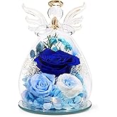FIACO Gifts for Women Birthday Preserved Rose Forever Flower in Glass Angel Figurines Fresh Flowers for Delivery Prime for Mom Real Roses for Grandma Sister Wife Her from Daughter