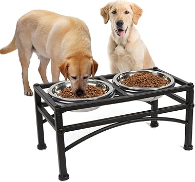 large raised dog bowls