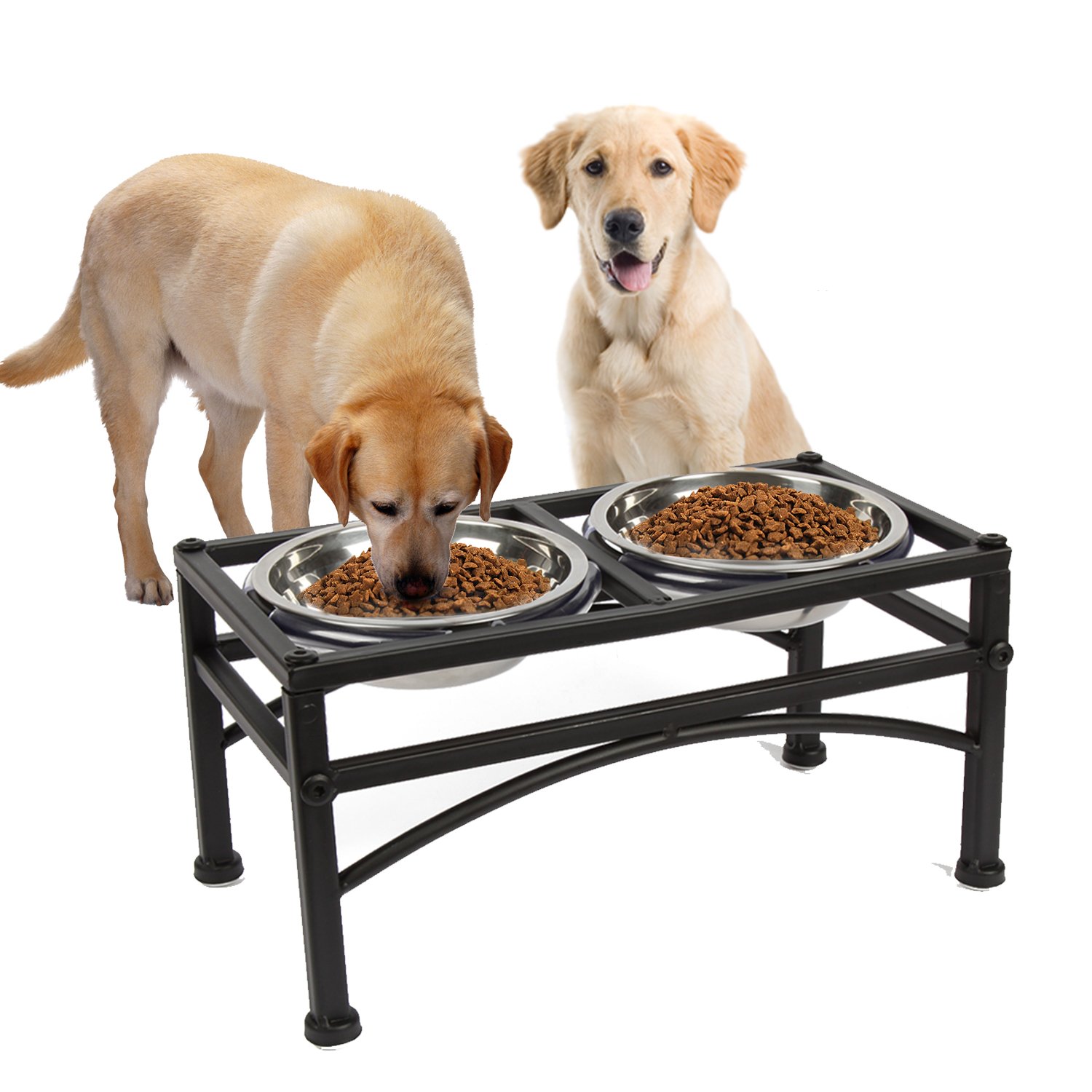 Pet Raised Dog Bowls Double Stainless Steel Water Food Feeder Bowls for Puppy Dogs Cats with Dog Feeding Station(Large)
