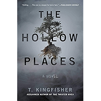 The Hollow Places: A Novel book cover