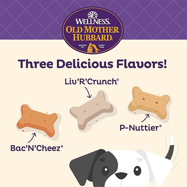 OLD MOTHER HUBBARD WELLNESS SAVORY MIX DOG BISCUITS, NATURAL, TRAINING TREATS, MINI SIZE, (20 OUNCE BAG)