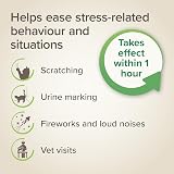 Beaphar StressLess Herbal Calming Spot-On for Cats 3 x 1 Week Doses view 7