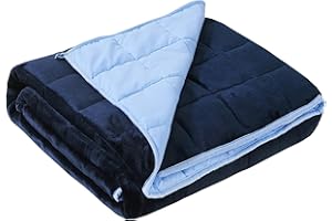 Satwip Weighted Blanket 20 lbs Queen Size Fuzzy Warm Flannel Throw Blanket with Soft Breathable Sanded, 60 x 80 inches, Blue