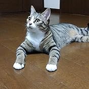 カスタマー画像