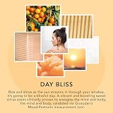Sunday Rain Day Bliss Body Scrub Green Tea Mandarin 250ml view 3