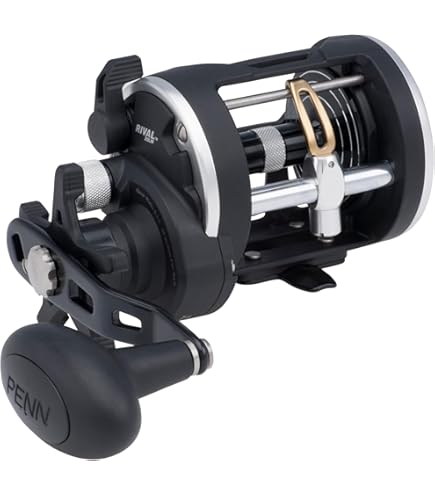 Penn General Purpose Clamp Package Level Wind Reel, 350-Yard-30 Lb