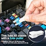 JOREST 168 Pcs Car Fuse Kit Mini & Standard 11 Specs 2A-40A with Puller view 2