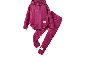 LKALPSQ Toddler Girl Fall Clothes Set Warm Sweatshirt Pants Long Sleeve Sweatsuits Winter Hooded Pullover Outfits