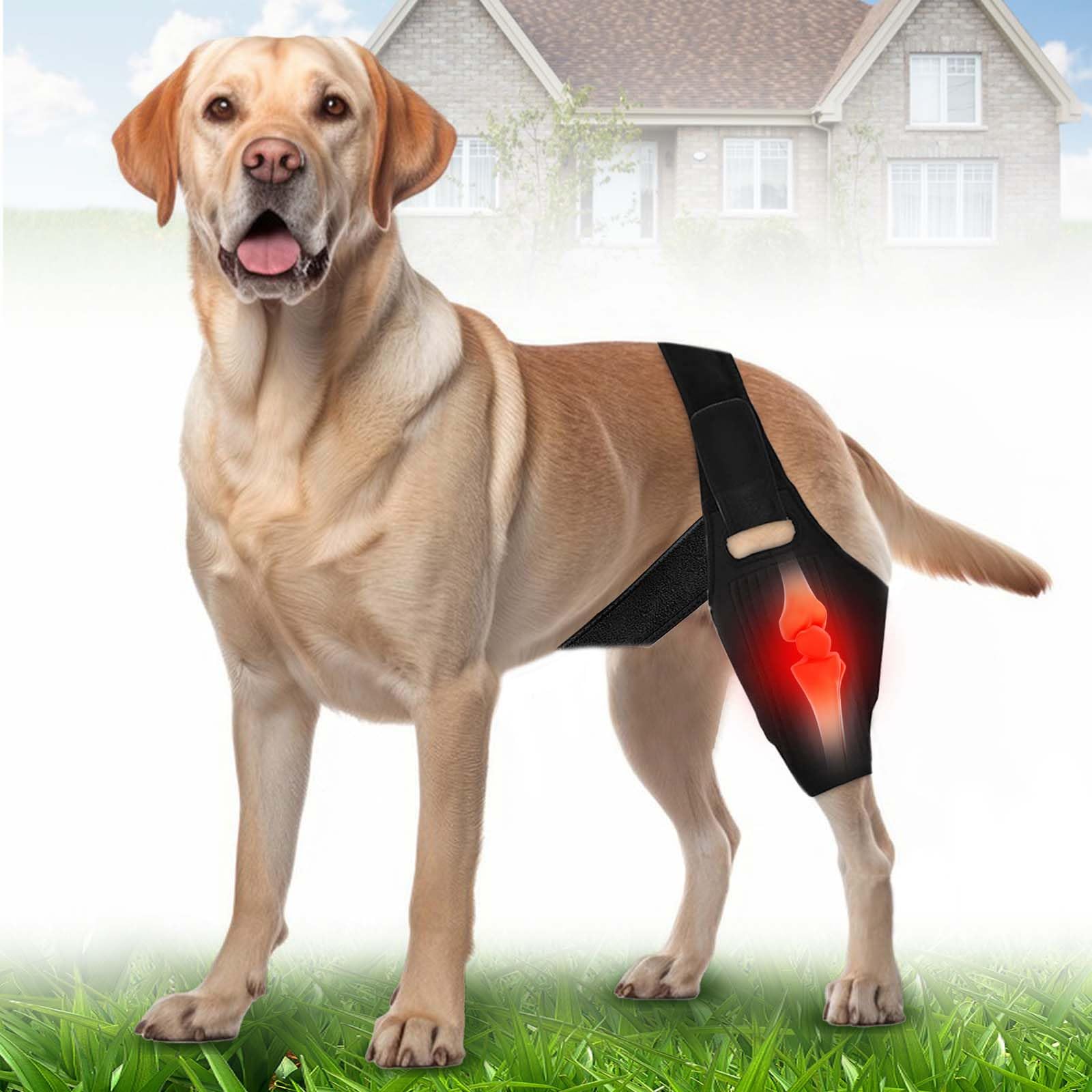 Photo 1 of YihuaTop Dog Knee Brace Leg Braces - Adjustable Dog Leg Brace for Torn ACL Hind Leg Joint Pain Muscle Sore Pet Brace (M)