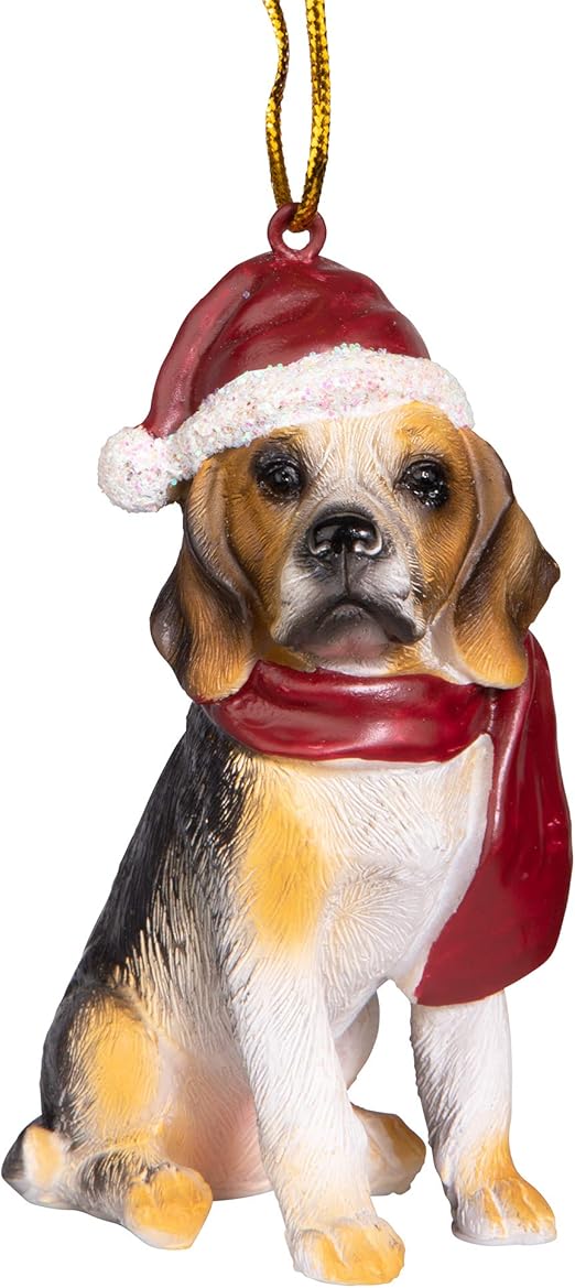 amazon dog christmas