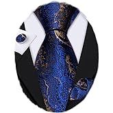 Barry.Wang Paisley Tie Fashion Set Hanky Cufflinks Neckties for Men Woven Silk