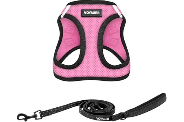 amazon best dog harness