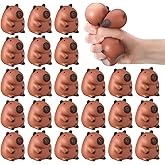 Meooeck 24 Pcs Capybara Stress Balls Mini Animal for Stress Relief Cute and Fun Capybara Birthday for Christmas, Office, Stocking Stuffer Gift