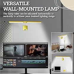 Picture Light with Remote, 18inch Wireless