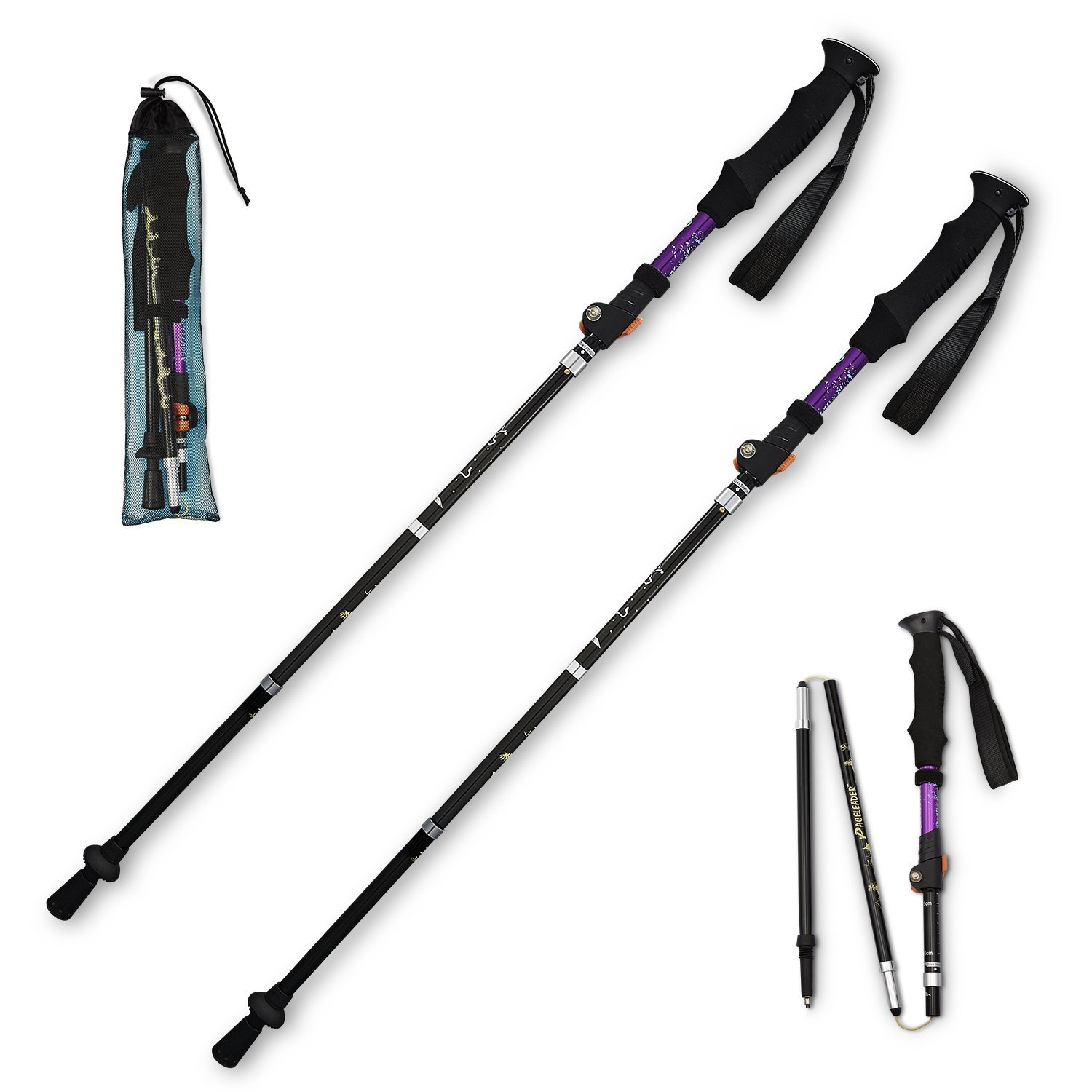 paceleader walking stick