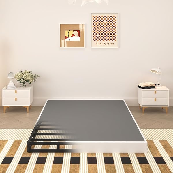 TROZULER 5 Inch Box Spring for Queen Bed, Heavy Duty Metal Mattress Foundation, 3000 lbs Capacity, Low Profile, Noise-Free, E