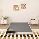 TROZULER 5 Inch Box Spring for Queen Bed, Heavy Duty Metal Mattress Foundation, 3000 lbs Capacity, Low Profile, Noise-Free, Easy Assembly with Fabric Cover