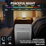 Belaco 12L Compressor Dehumidifier for Home Compact 24h Timer Digital Display view 4