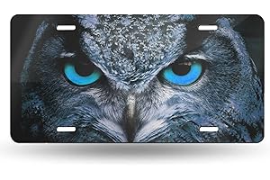 FeHuew Animal Blue Eyes Owl License Plate Front Car Decorative Novelty Auto Plate Car Tag Vanity Gift Metal Aluminum Plate for Women/Man 12x6 inch Wall Decor