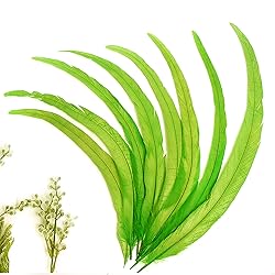 THARAHT 20PCS Rooster Coque Tail Feathers Bulk