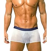PAIZH Mens Sexy See Through Boxers Ice Silk Sheer Underwear Trunks Stretch Ultra Thin Bulge Pouch Boxer Briefs