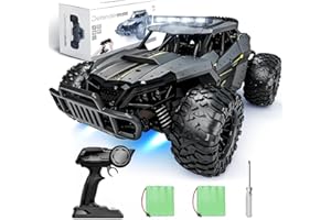 Tecnock RC Car 1/16 Scale Remote Control Cars, 2WD High Speed 20KM/H All Terrains RC Monster Truck with 2 Rechargeable Batter