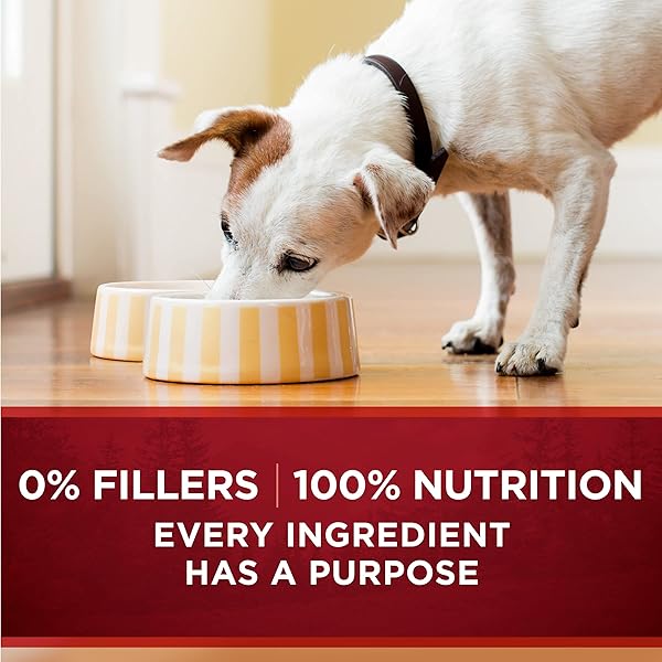 PURINA ONE HIGH PROTEIN WET DOG FOOD TRUE INSTINCT TENDER CUTS IN DOG FOOD GRAVY WITH REAL CHICKEN AND DUCK – (PACK OF 12) 13 OZ. CANS
