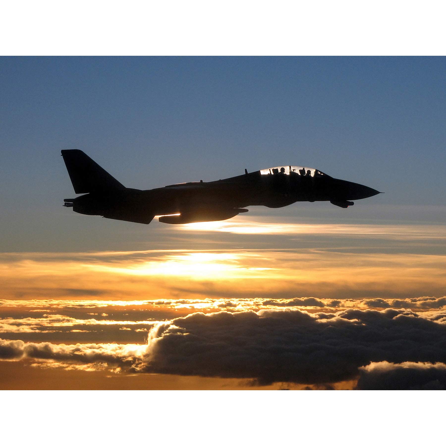 Artery8 US Navy F14D Tomcat Fighter Jet Silhouette Premium Wall Art Canvas Print 18X24 Inch