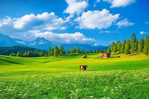 Buy 5 Ace Lovely Green Everywhere Wall Sticker Poster of Nature, Landscape(Size:12x18),  Multicolor Online at Low Prices in India - Amazon.in