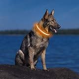 PcEoTllar Light Up Dog Collar Rechargeable 8 Modes 7 Colors Adjustable view 2