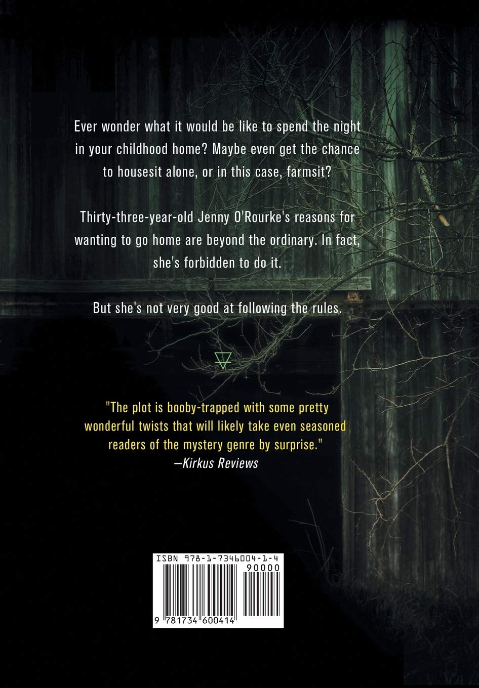 Element Of Secrecy Book I Element Mysteries Slawecki Heather 9781734600414 Amazon Com Books