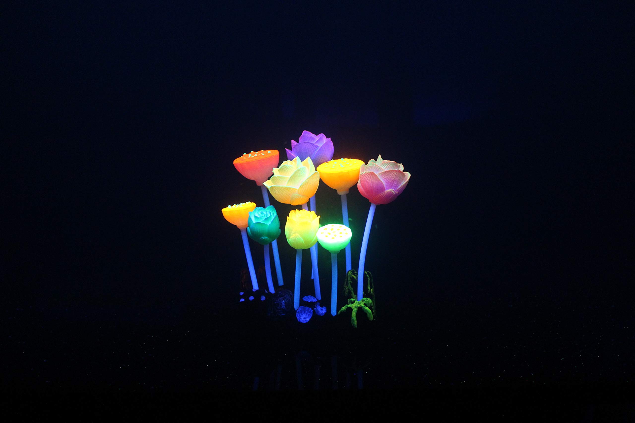 Aqua Lumo Silicon Fluorescent Multi-Coloured Lotus Plant