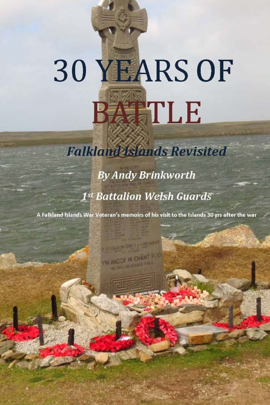 Amazon Com 30 Years Of Battle Falkland Islands Revisited Brinkworth Mr Andy Books