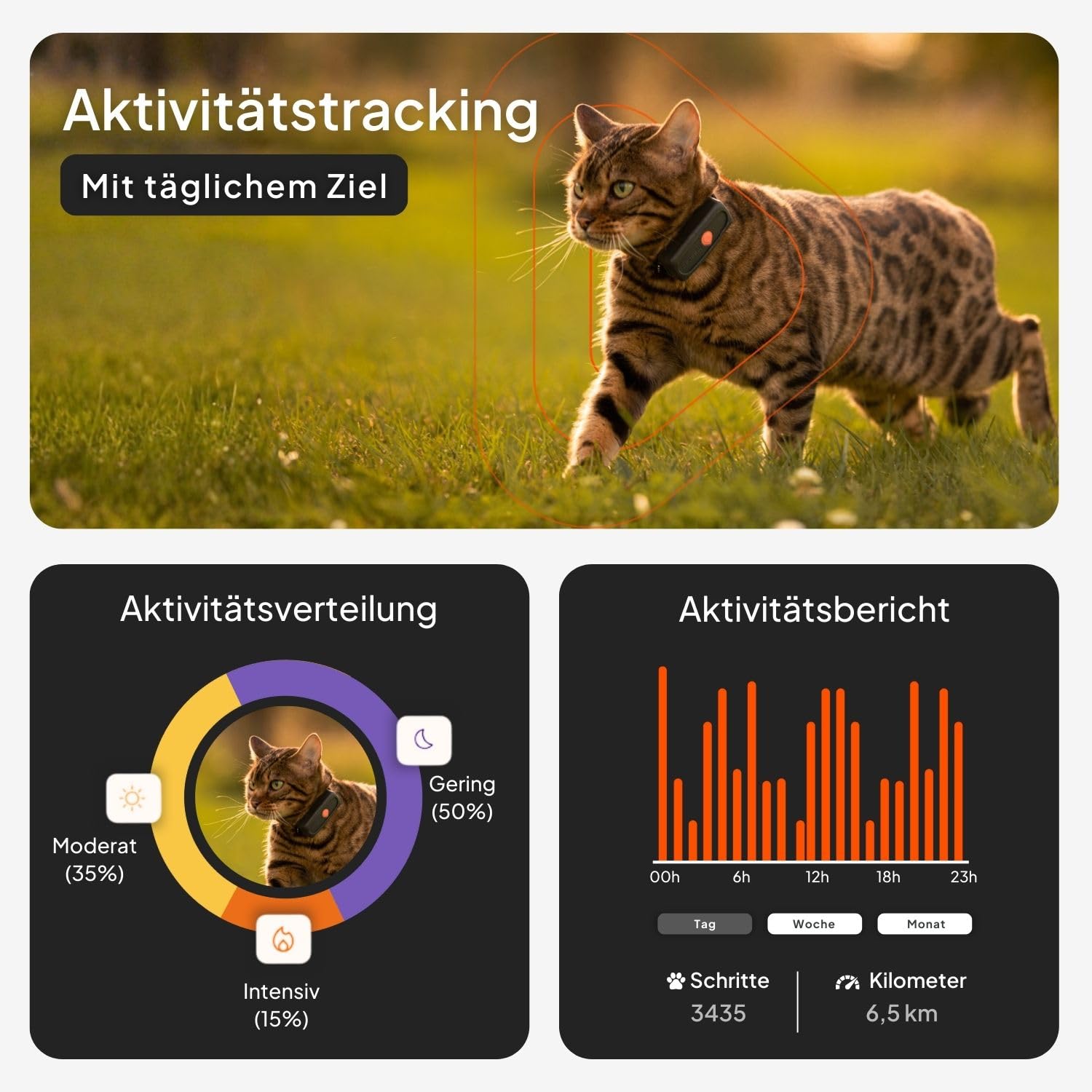 Weenect XS für Katzen - NEU Mini GPS-Tracker für Katzen | GPS-Tracking in Echtzeit | Ohne Distanzlimit | Kleinstes Modell auf dem Markt | Halsband inkludiert | Abonnement 3