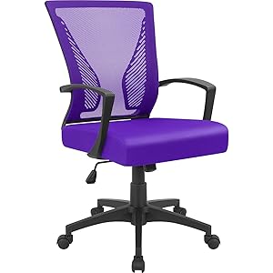 Furmax Office Chair Mid Back Swivel Lumbar Support Desk Chair, Computer Ergonomic Mesh Chair with Armrest (Purple)