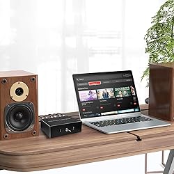 2-Way Audio Switcher Can Support Two